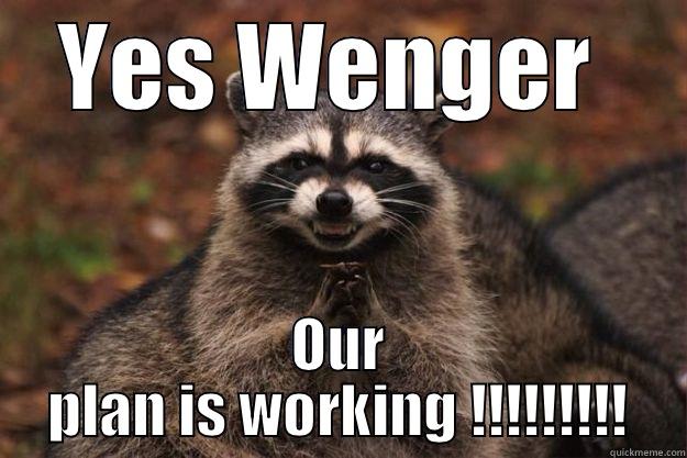 The Real Reason Robin was.......  - YES WENGER  OUR PLAN IS WORKING !!!!!!!!! Evil Plotting Raccoon