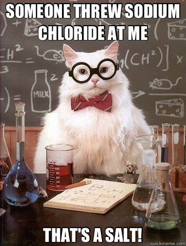 SOMEONE THREW SODIUM CHLORIDE AT ME THAT'S A SALT! - SOMEONE THREW SODIUM CHLORIDE AT ME THAT'S A SALT!  Chemistry Cat