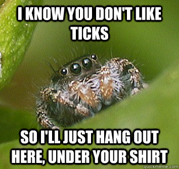 I know you don't like ticks So I'll just hang out here, under your shirt  Misunderstood Spider