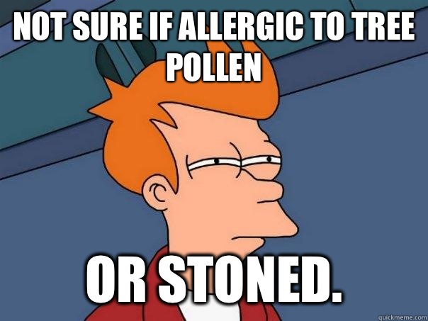 Not sure if allergic to tree pollen Or stoned.  - Not sure if allergic to tree pollen Or stoned.   Futurama Fry