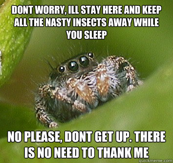 Dont worry, ill stay here and keep all the nasty insects away while you sleep no please, dont get up. there is no need to thank me  Misunderstood Spider