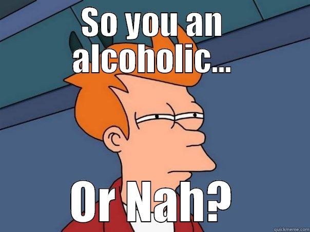 SO YOU AN ALCOHOLIC... OR NAH? Futurama Fry