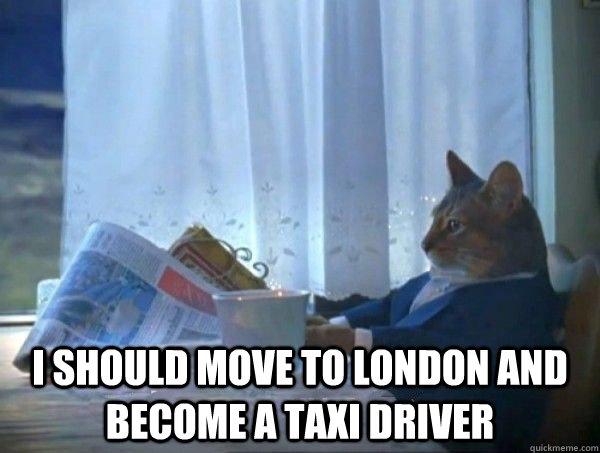  I should move to London and become a taxi driver  morning realization newspaper cat meme