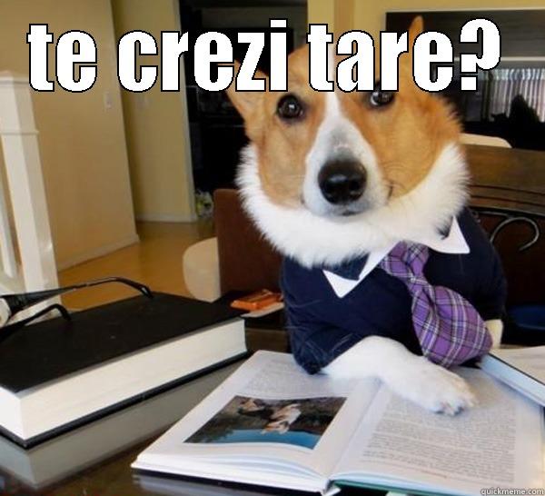 TE CREZI TARE?  Lawyer Dog