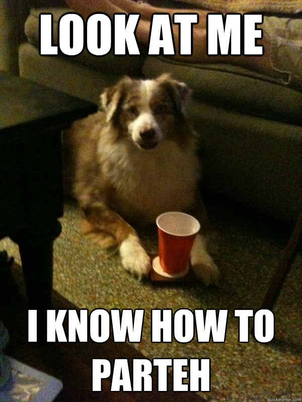 LOOK AT ME I KNOW HOW TO PARTEH - LOOK AT ME I KNOW HOW TO PARTEH  Drink Dog