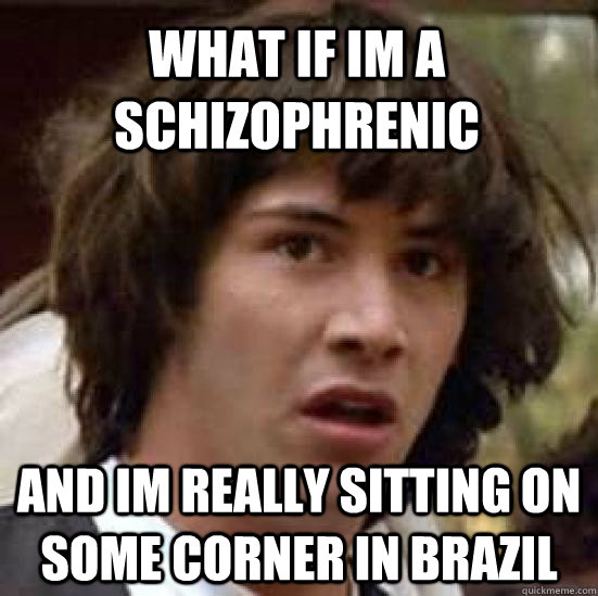 what if im a schizophrenic  and im really sitting on some corner in Brazil  conspiracy keanu