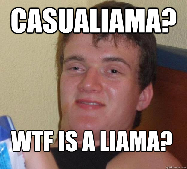 CasualIAMA? WTF is a LIAMA?  10 Guy