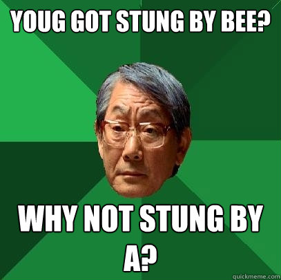 Youg got stung by bee? why not stung by a?  High Expectations Asian Father