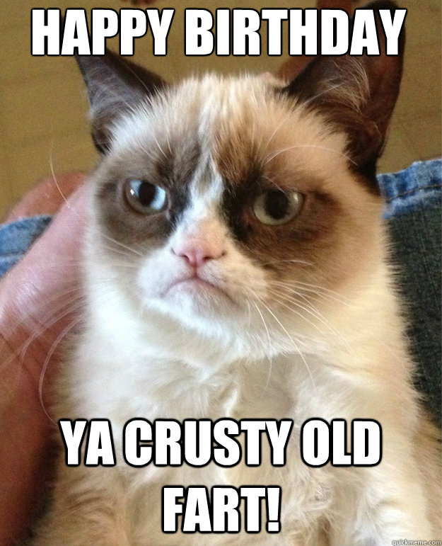 Happy Birthday Ya crusty old fart!  grumpy cat birthday