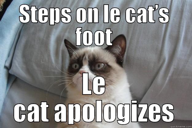 STEPS ON LE CAT’S FOOT LE CAT APOLOGIZES Grumpy Cat