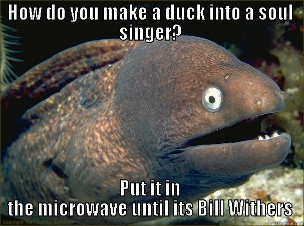 HOW DO YOU MAKE A DUCK INTO A SOUL SINGER? PUT IT IN THE MICROWAVE UNTIL ITS BILL WITHERS Bad Joke Eel