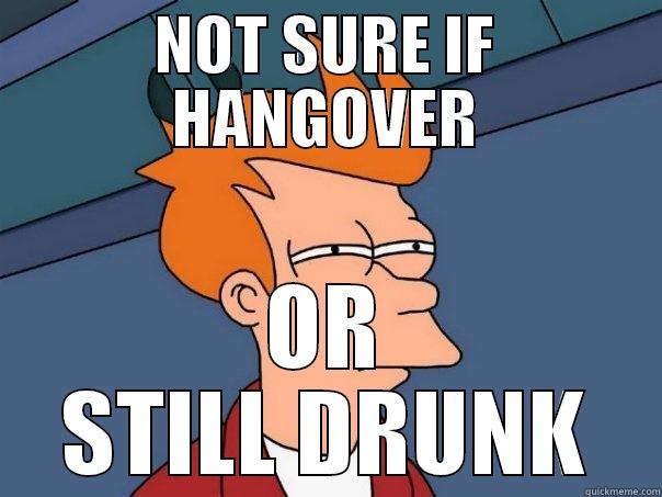 NOT SURE IF HANGOVER OR STILL DRUNK Futurama Fry