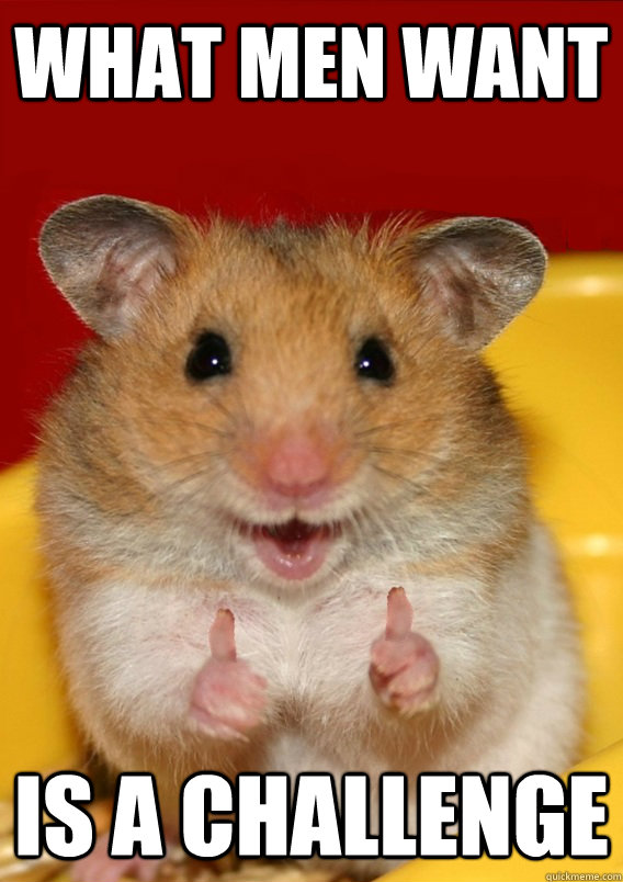 what men want is a challenge - what men want is a challenge  Rationalization Hamster