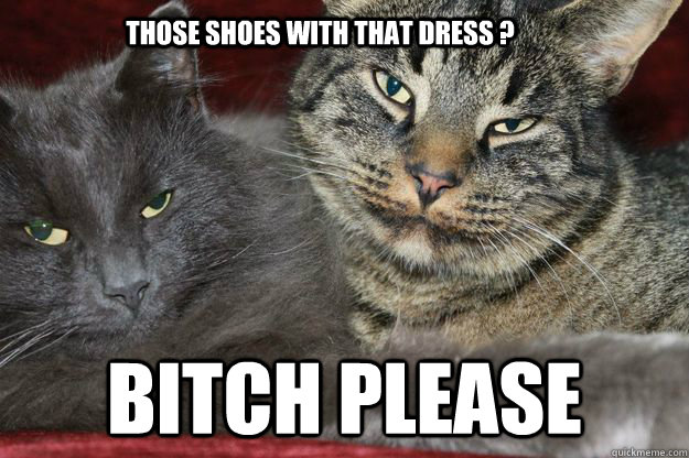 Those shoes with that dress ? Bitch please - Those shoes with that dress ? Bitch please  sarcastic agressive cats sac