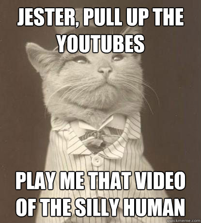 Jester, pull up the youtubes play me that video of the silly human  Aristocat