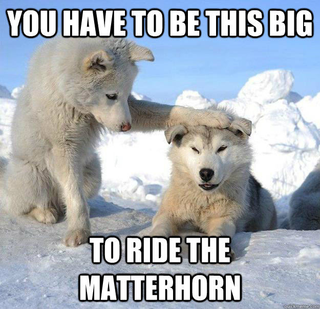 You have to be this big to ride the matterhorn  Caring Husky