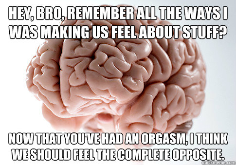 Hey, bro, remember all the ways I was making us feel about stuff? Now that you've had an orgasm, I think we should feel the complete opposite.  Scumbag Brain