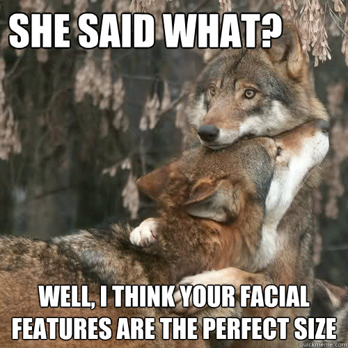 she said what? Well, I think your facial features are the perfect size  Comforting wolf