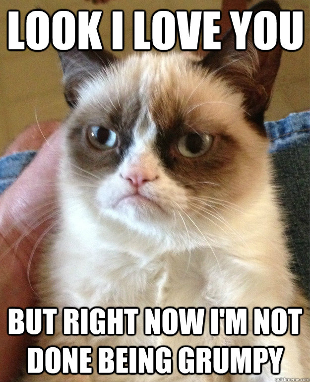 look i love you but right now i'm not done being grumpy  Grumpy Cat