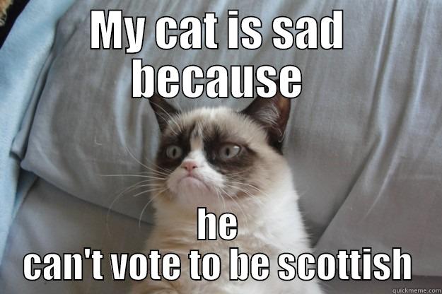 MY CAT IS SAD BECAUSE HE CAN'T VOTE TO BE SCOTTISH Grumpy Cat