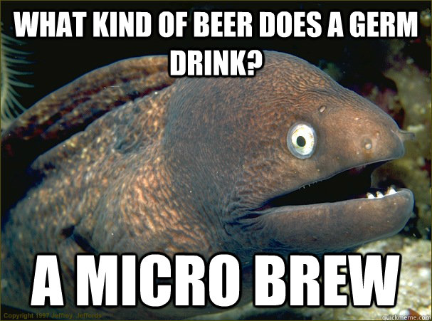 What kind of Beer does a Germ drink? A Micro Brew - What kind of Beer does a Germ drink? A Micro Brew  Bad Joke Eel