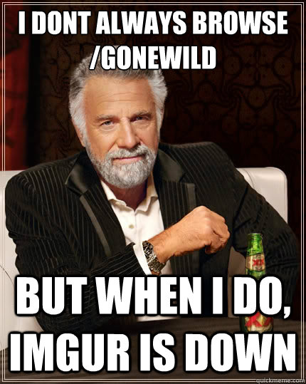 I dont always browse /gonewild But when i do, Imgur is down  The Most Interesting Man In The World