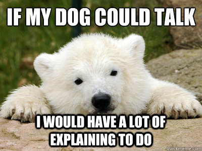 if my dog could talk i would have a lot of explaining to do  Popular Opinion Polar Bear