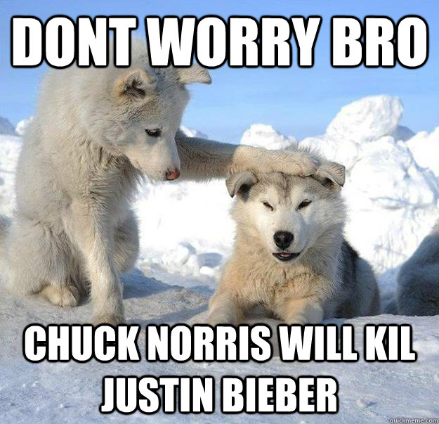 DONT WORRY BRO CHUCK NORRIS WILL KIL JUSTIN BIEBER  Caring Husky