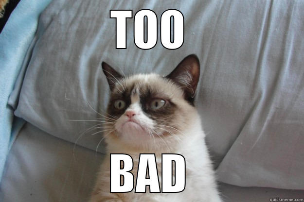 YAYYY SPLORK - TOO BAD Grumpy Cat