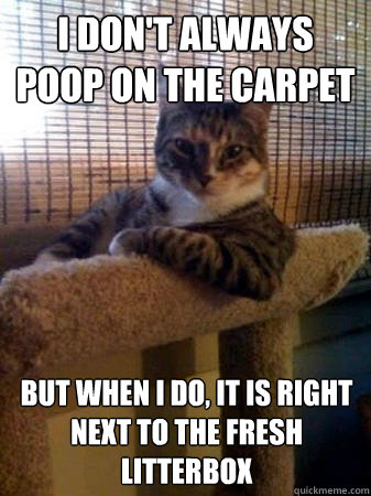 I don't always poop on the carpet but when i do, it is right next to the fresh litterbox  The Most Interesting Cat in the World