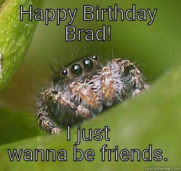 HAPPY BIRTHDAY BRAD! I JUST WANNA BE FRIENDS. Misunderstood Spider