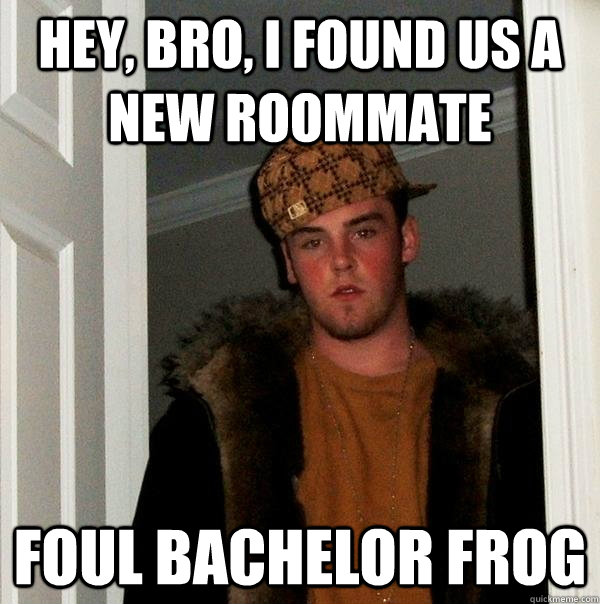 hey, bro, i found us a new roommate foul bachelor frog  Scumbag Steve