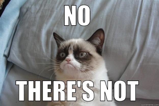 no, there's not - NO THERE'S NOT Grumpy Cat