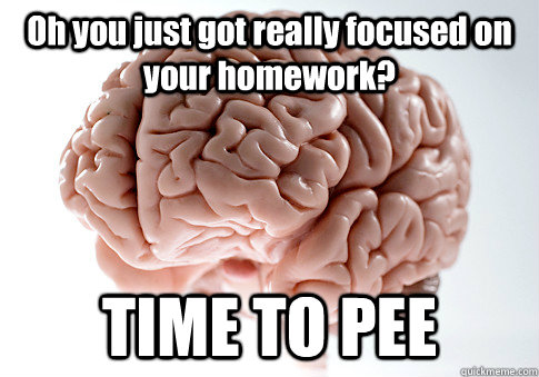 Oh you just got really focused on your homework? TIME TO PEE - Oh you just got really focused on your homework? TIME TO PEE  Scumbag Brain