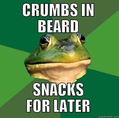 CRUMBS IN BEARD SNACKS FOR LATER Foul Bachelor Frog