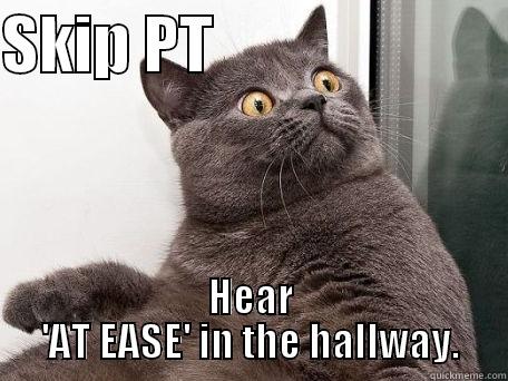 TOP?    - SKIP PT                         HEAR 'AT EASE' IN THE HALLWAY. conspiracy cat