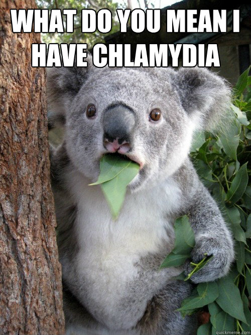 What do you mean i have chlamydia   Shocked Koala