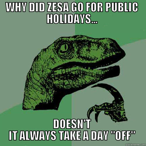 WHY DID ZESA GO FOR PUBLIC HOLIDAYS... DOESN'T IT ALWAYS TAKE A DAY 