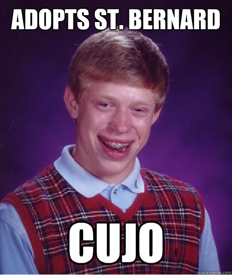 Adopts st. Bernard cujo - Adopts st. Bernard cujo  Bad Luck Brian