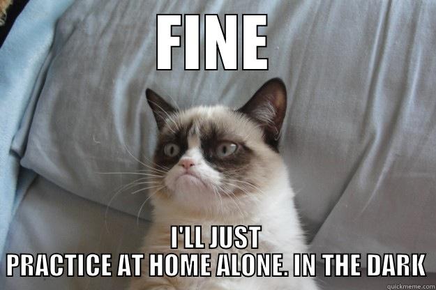 FINE I'LL JUST PRACTICE AT HOME ALONE. IN THE DARK Grumpy Cat