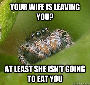 your wife is leaving you? At least she isn't going to eat you - your wife is leaving you? At least she isn't going to eat you  Misunderstood Spider