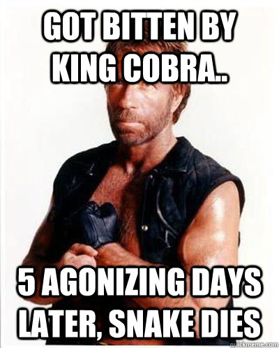 Got bitten by King Cobra.. 5 Agonizing days later, Snake dies   