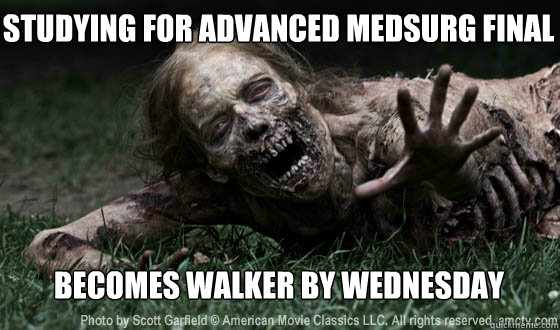 studying for advanced medsurg final


 becomes walker by wednesday - studying for advanced medsurg final


 becomes walker by wednesday  Misc