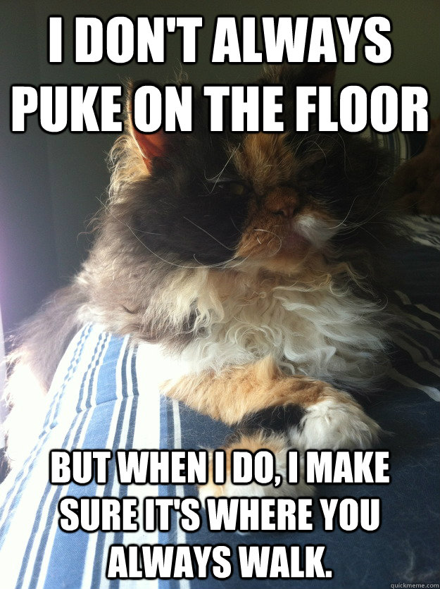 I don't Always Puke on the Floor But when i do, i make sure it's where you always walk.  Puke Kitty