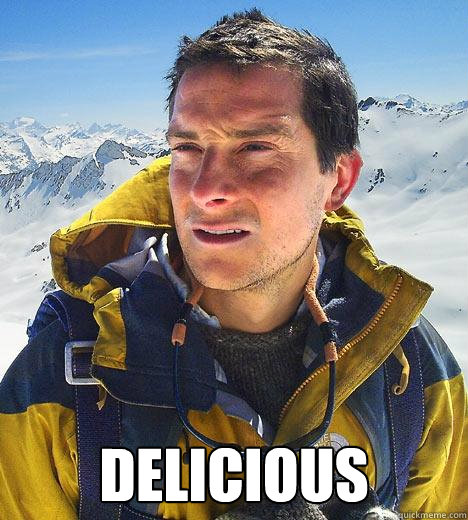  Delicious  Bear Grylls