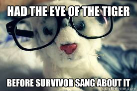 Had the eye of the tiger before survivor sang about it - Had the eye of the tiger before survivor sang about it  Hipster Tiger