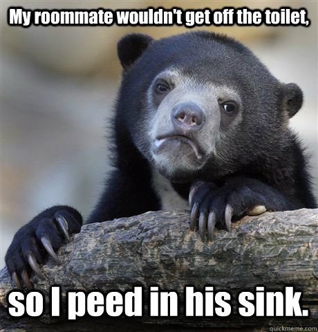 My roommate wouldn't get off the toilet,  so I peed in his sink.  Confession Bear