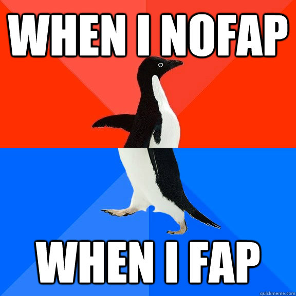 When i nofap When i fap  Socially Awesome Awkward Penguin