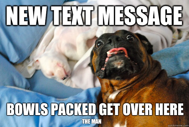 New text message Bowls packed get over here The man  Surprised Dog