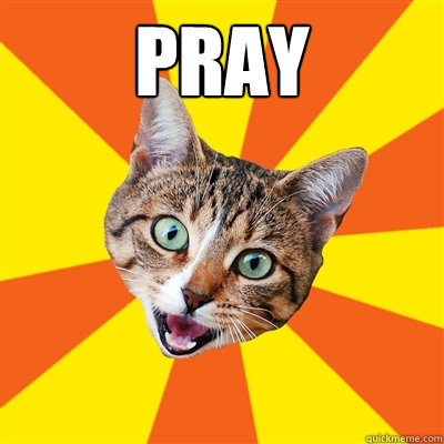 Pray   Bad Advice Cat